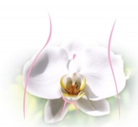 Лазерная лабиопластика малых половых губ Интимная пластика: уменьшение малых половых губ Лазерная Лабиопластика в Кишиневе ,Молдове!