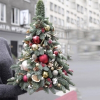 Decoruri florale magice pentru Crăciun – doar la OkFlora