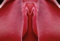 Самые популярные эстетические процедуры на 2026 год